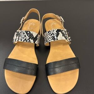 Franco Sarto Sandals. Brand New, never warn. In original Box.